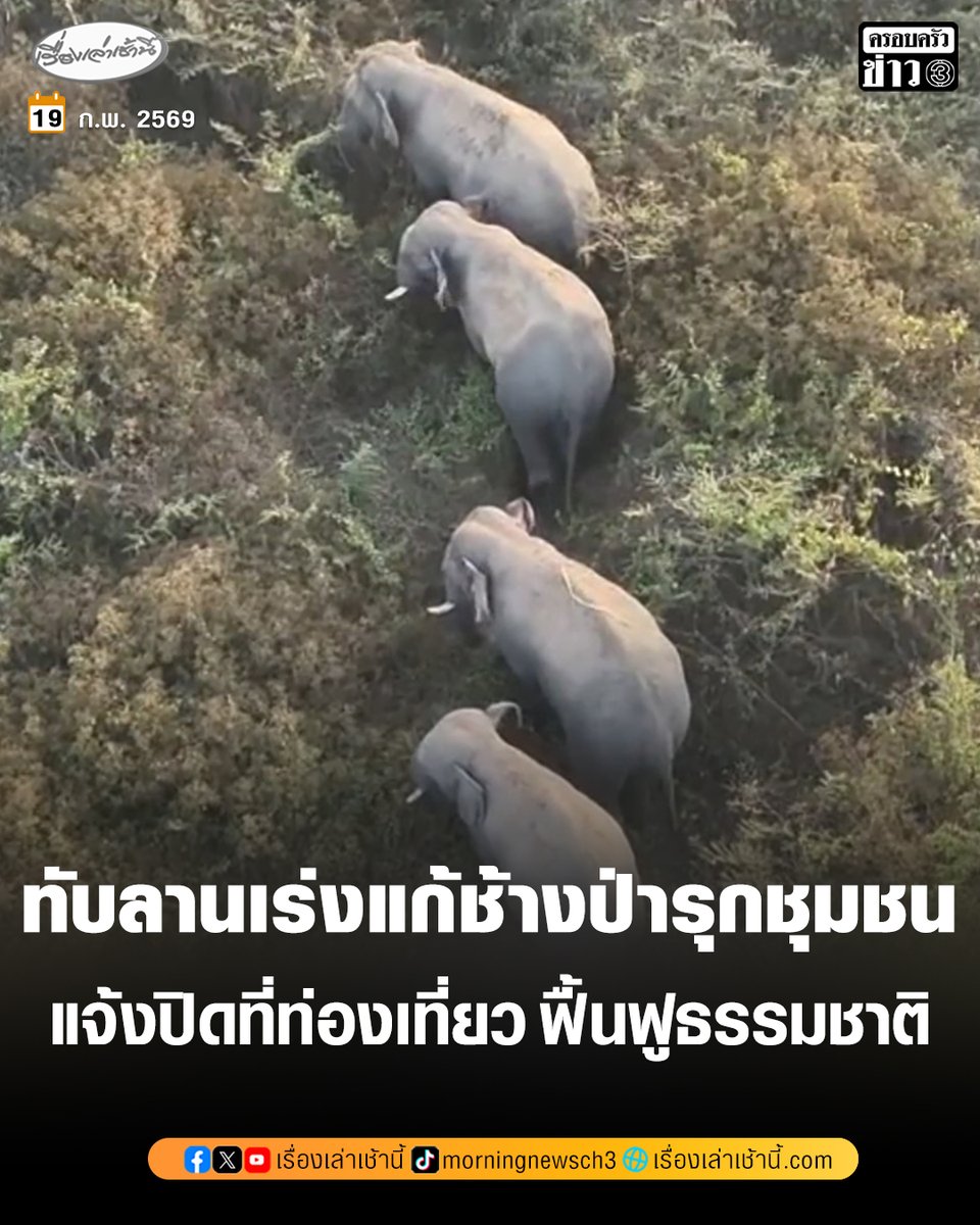 เรื่องเล่าเช้านี้ tweet media