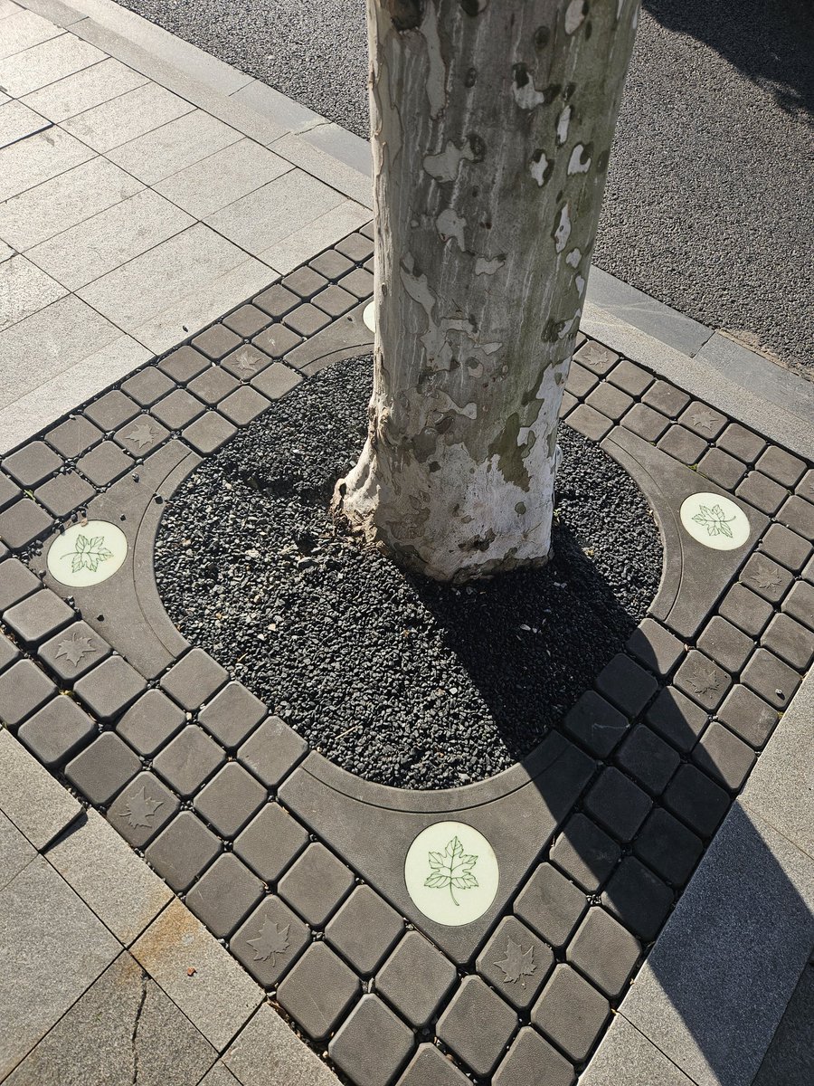 คุณภาพ​ชีวิต​ในเซี่ยงไฮ้​ คงไม่ต้องบอกนะ​ว่า​ ทิ้งกรุงเทพ​แบบไม่เห็นฝุ่นแค่ไหน​ แต่เรื่องที่น่าประหลาดใจที่สุดคือ ค่าครองชีพในเซี่ยงไฮ้​เมื่อเทียบกับกรุงเทพในปัจจุบัน เซี่ยงไฮ้กลับให้ความรู้สึกที่คุ้มค่ากว่าอย่างเห็นได้ชัด​ คือคุณภาพชีวิตที่ "จ่ายน้อยกว่า" แต่ "ได้มากกว่า"