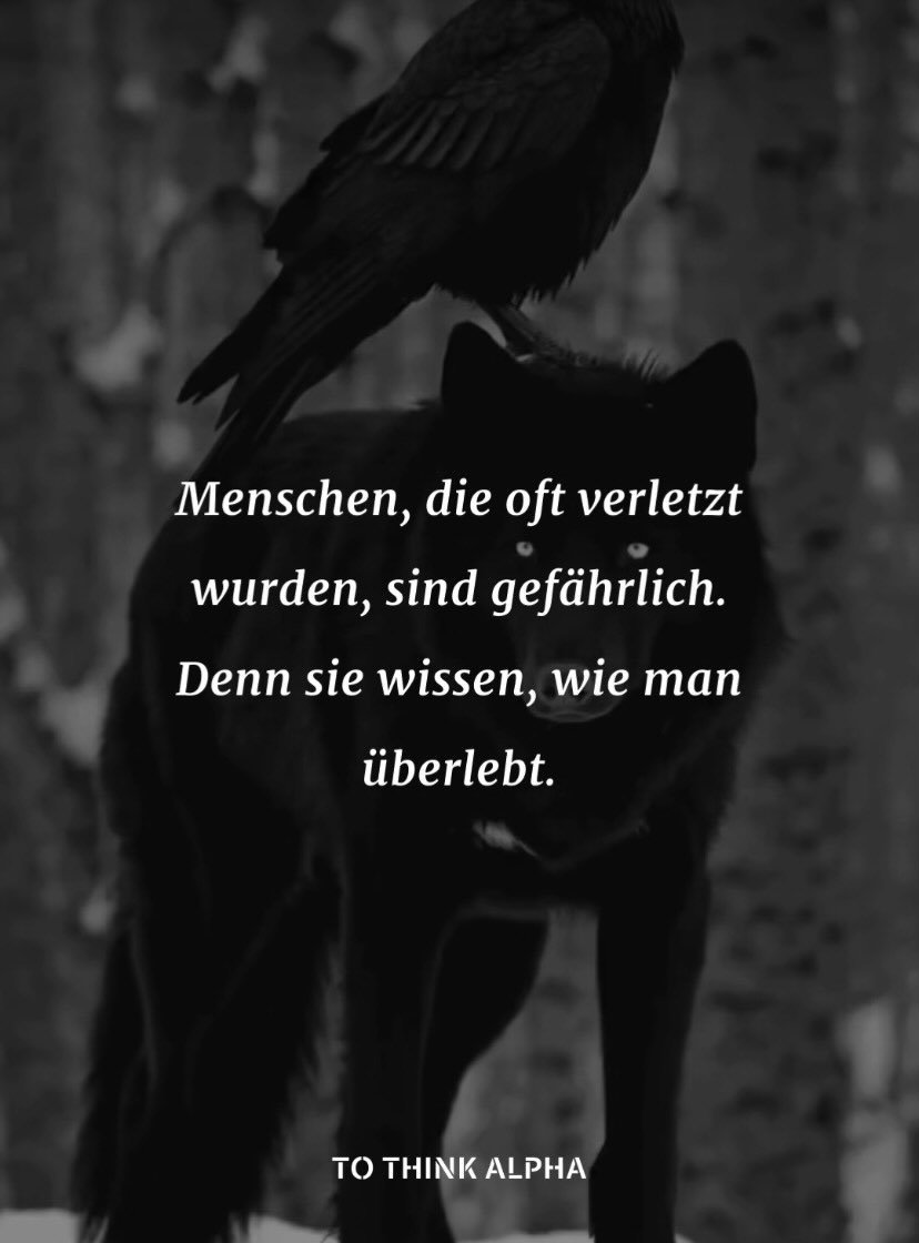 Shadow Warrior (@kampfzwerg280) on Twitter photo 