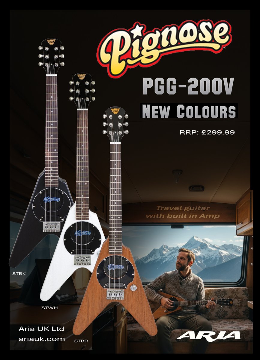Aria Guitars UK tweet media