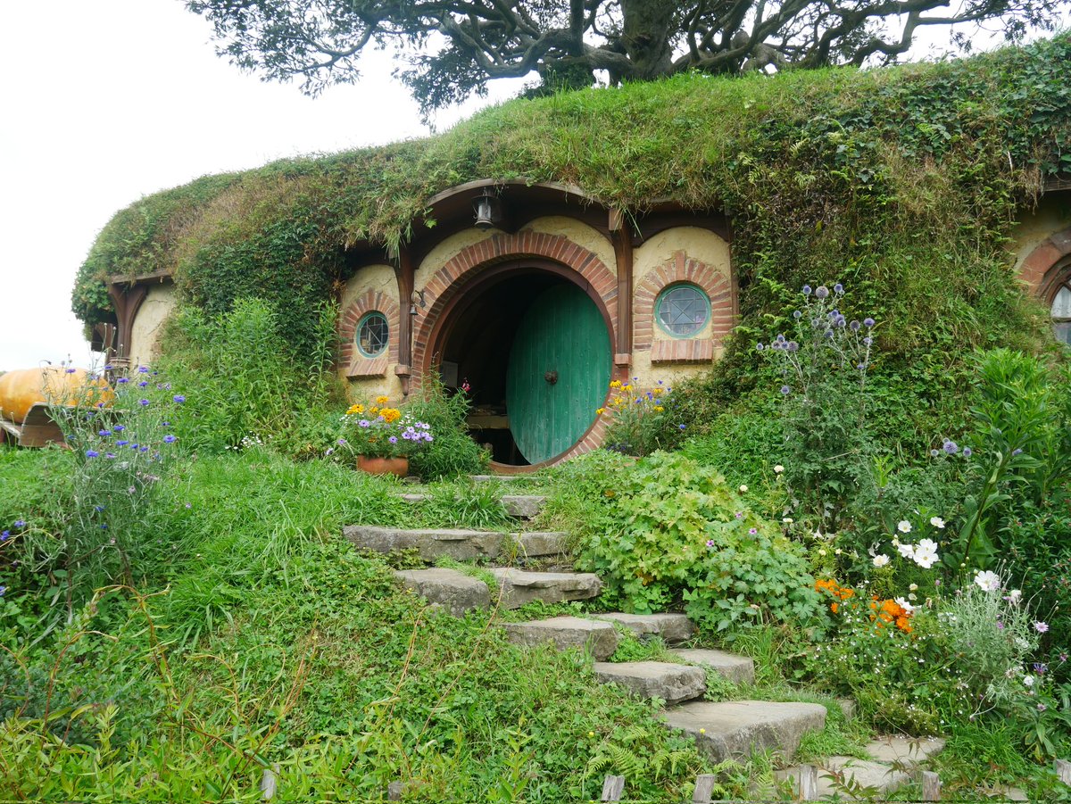 アメリー tweet media