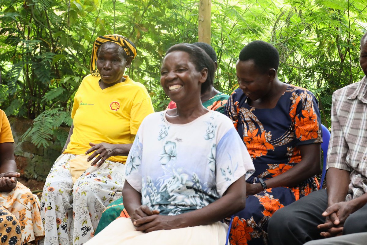 Mount Elgon Tree Growing Enterprise tweet media