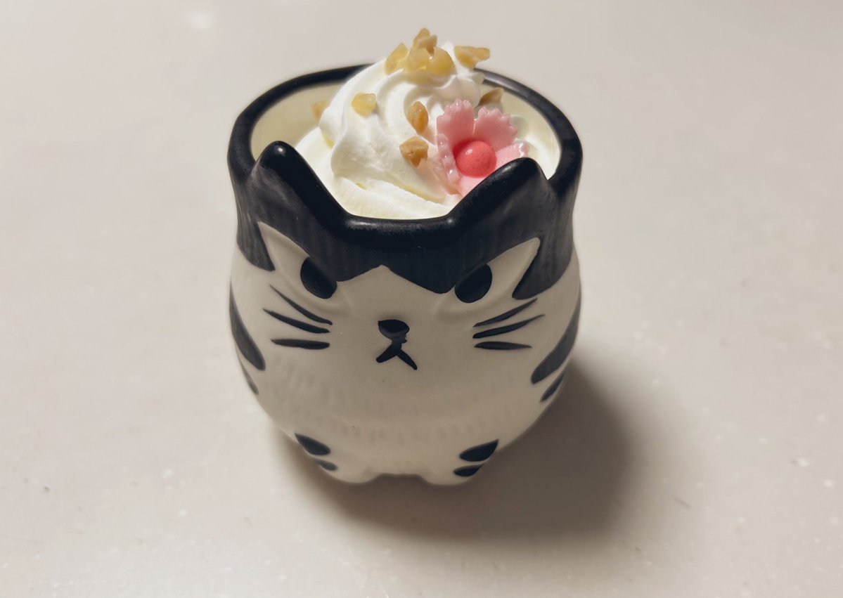 ﾈｺﾁｬﾝ🐈‍⬛