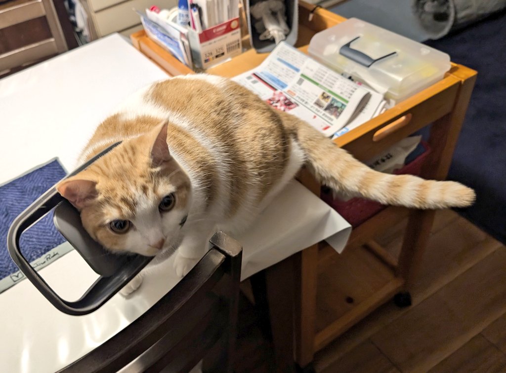 ともりん( ´ω`)つ🇯🇵 (@tomorin76) / Posts / X