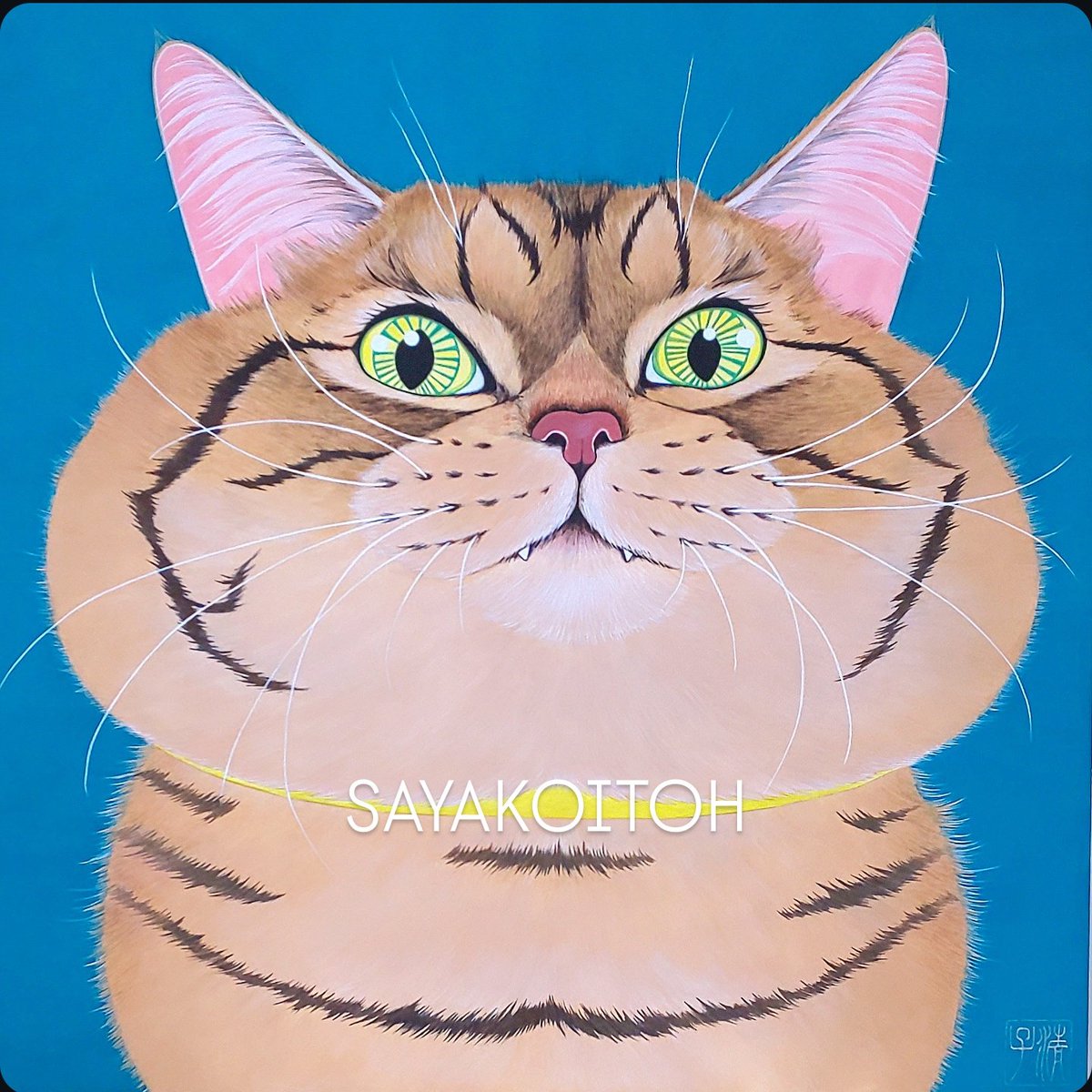 伊藤清子🌟 Sayako Itoh (@sayako1111) / Posts / X