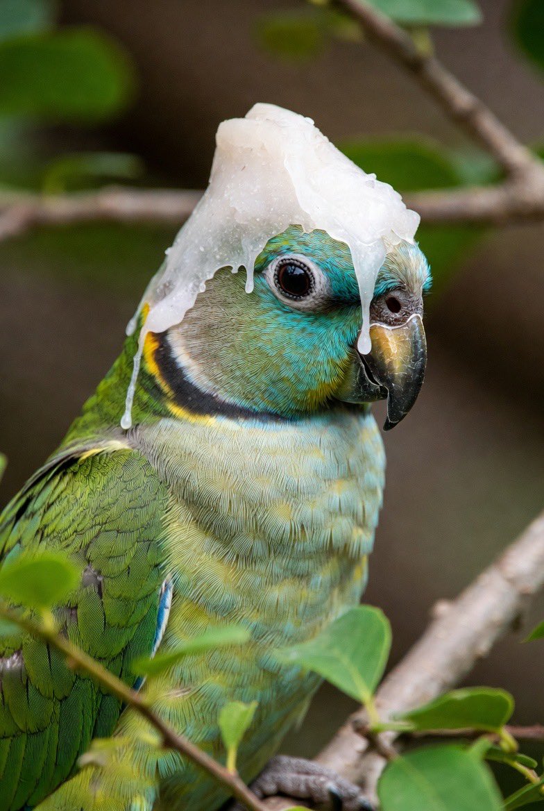 MartinWW❌ tweet media