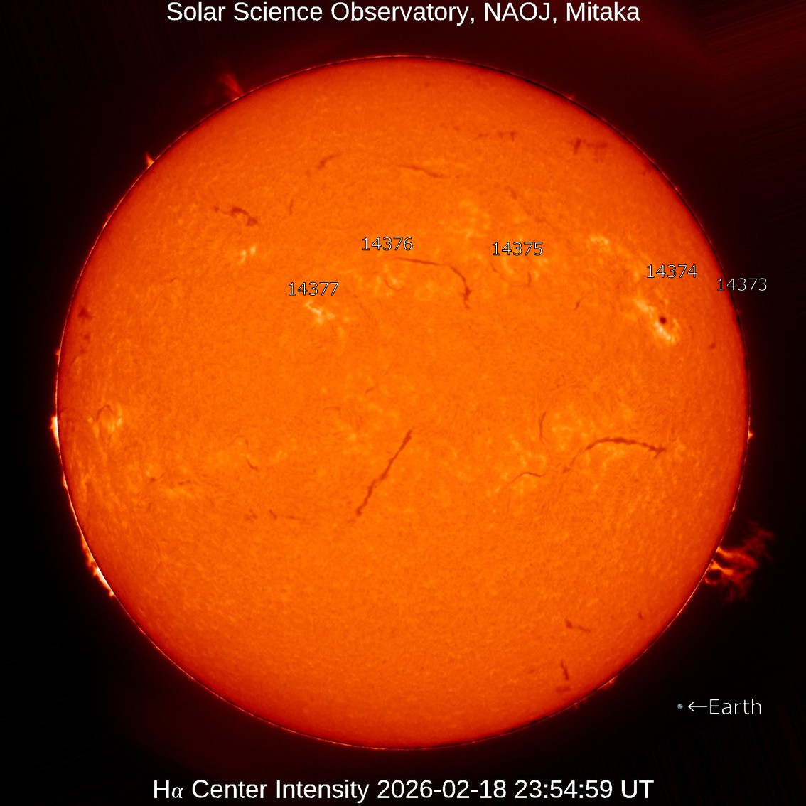 本日の太陽】2026-2-19のHα線全面像 静穏な状態が続いています。 南西