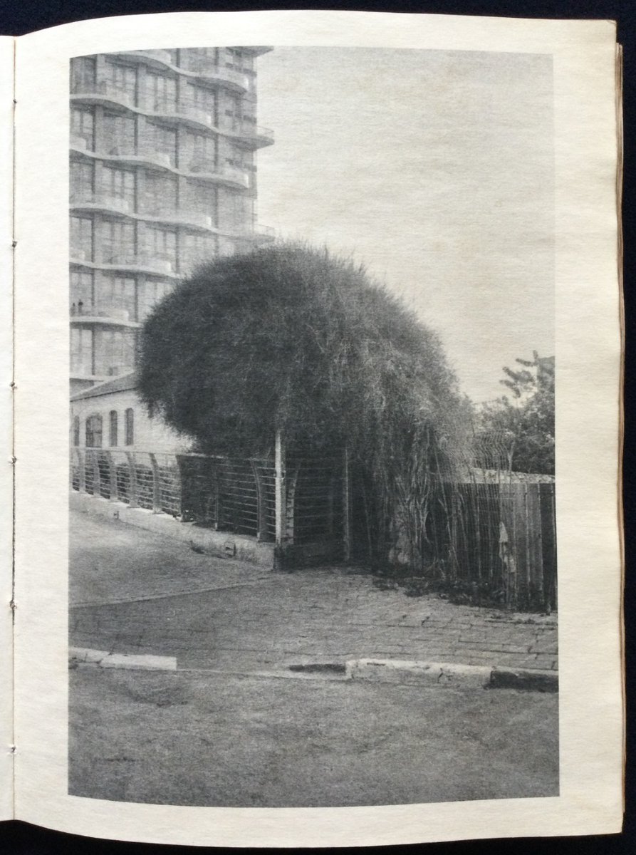 Satoshi Tsuchiyama - Heat of Sand - 2019

Self Published - 72 pages - 21,4 x 27,8 cm 

First edition limited to 50 copies. Signed and numbered. Number 15/50. Softcover photobook. In good condition.

Available on <a href="/Bakunen_Photo/">Bakunen - Rare Photobooks, Records, Art Store</a> 

bakunen.com/4212-satoshi-t…