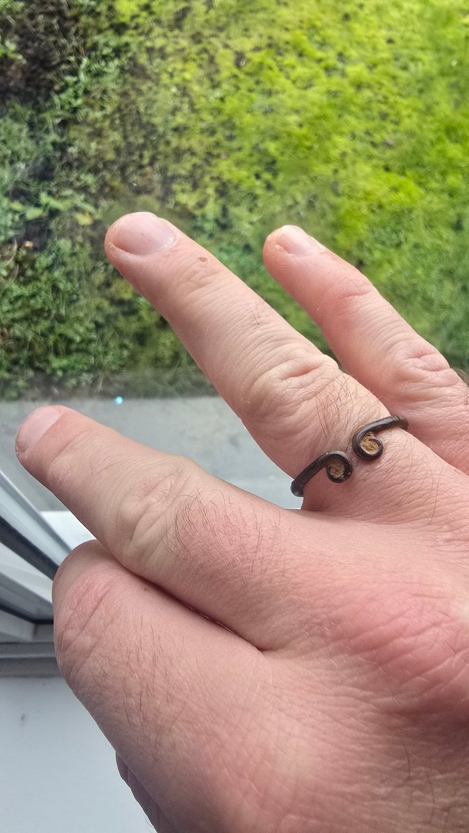 DetectorsDiary's tweet photo. Found this finger ring last night , anyone got an idea on age ? #metaldetecting #xpdeus2 #metaldetector https://t.co/0pD5kyKmX5