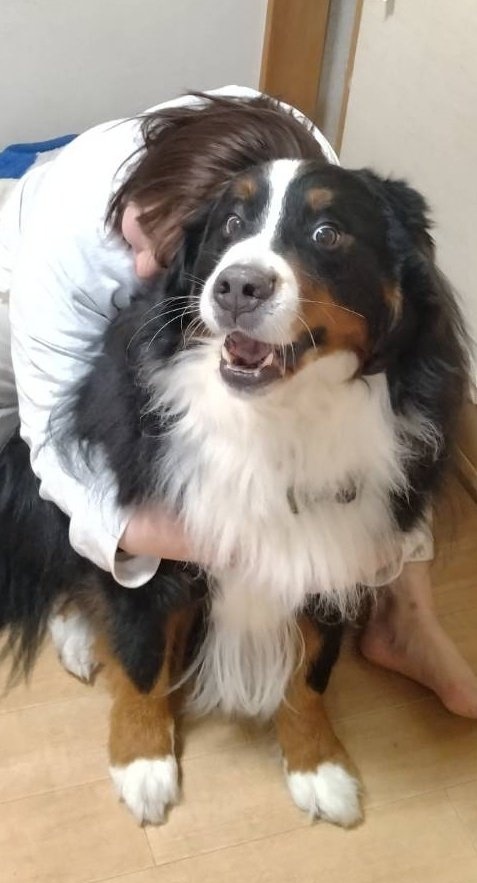 ここあ (@coco_bmd) / Posts / X