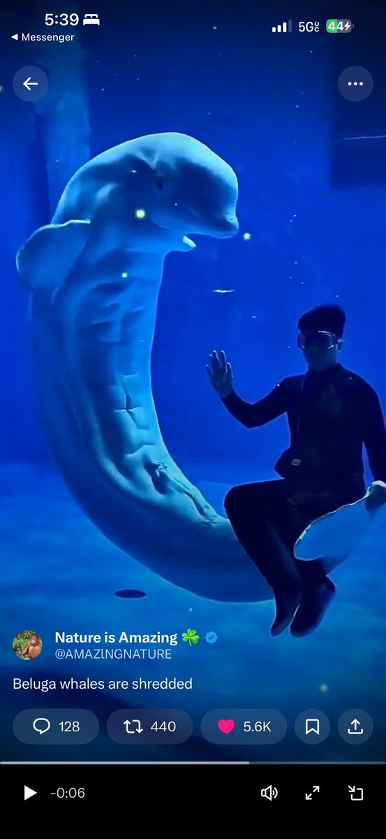 The Dev isn’t hyping like other devs who shout “1M soon” or throw empty price targets.

He’s focused on building real growth, strengthening the narrative, and letting the foundation speak for itself.

I’m fully convicted. The beluga narrative is something people will look back on