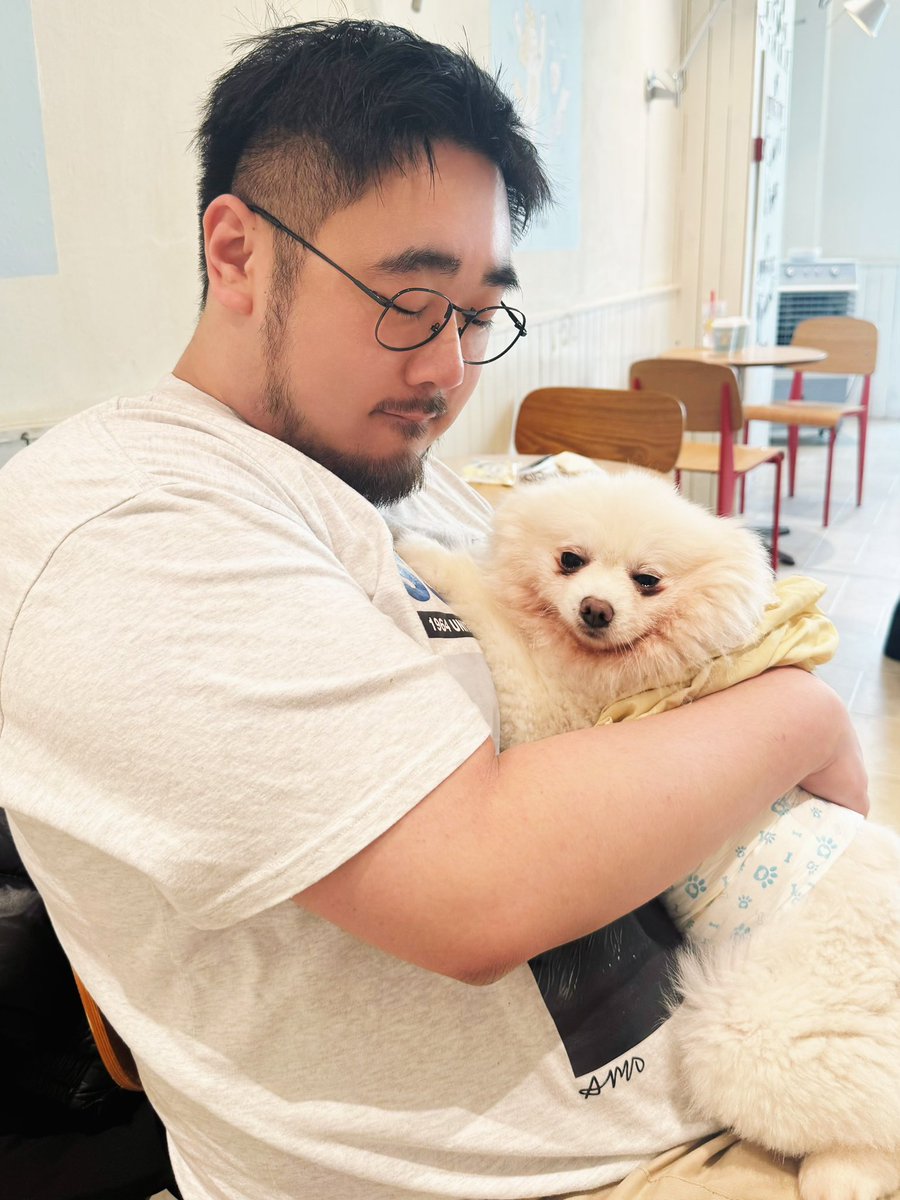 鼎鼎 Ding tweet media