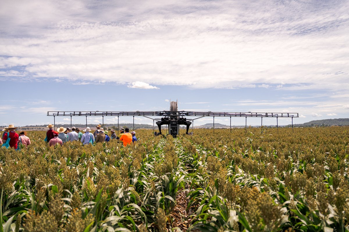 Pacific Seeds tweet media