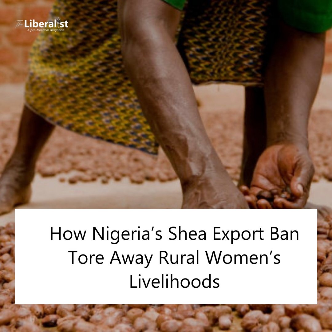 _theliberalist's tweet photo. Across Nigeria’s shea-producing belt, a government ban on shea nut exports has driven prices down, disrupted long-established trade, and left women collectors and small traders absorbing the losses. Interviews with stakeholders confirmed that a policy meant to support domestic processing has instead squeezed rural livelihoods at the base of the supply chain.

Read our latest feature story written by Abdullah Tijani:
https://t.co/ofnqgEx02S

#ExportBan
#NigerianWomen
#SheaEconomy