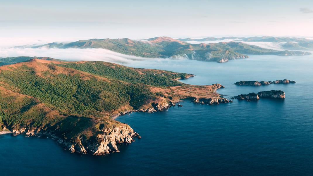 Anna Daryush 🌐 tweet media