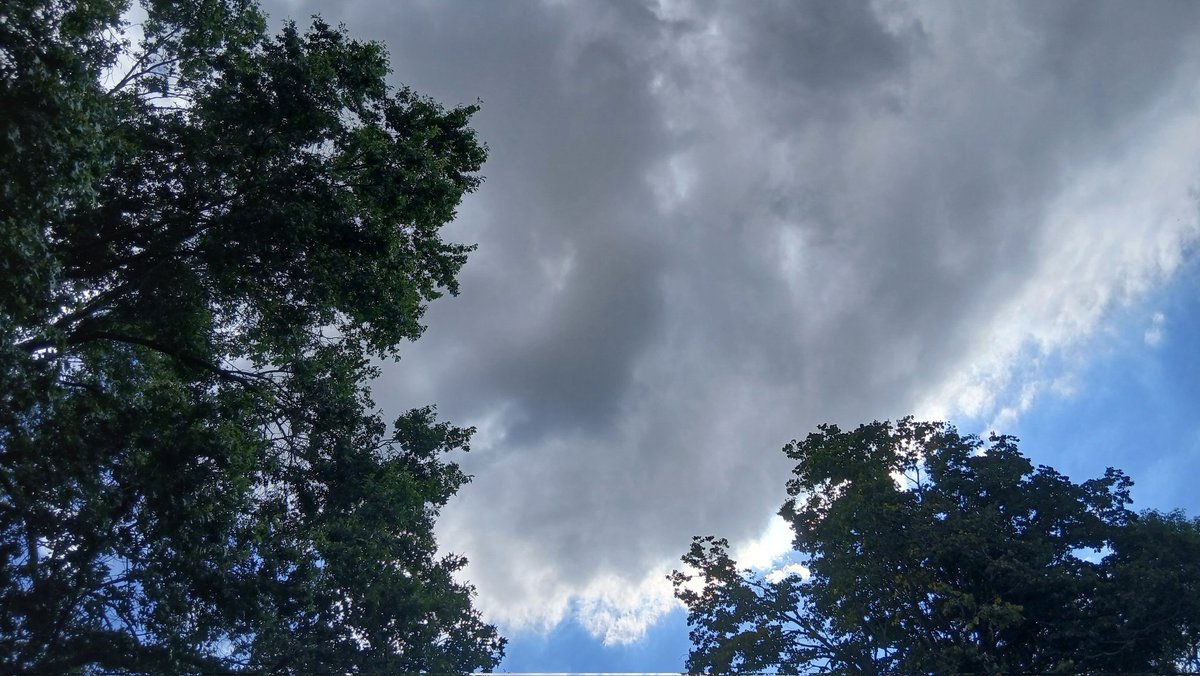 Ahí estaba.
Y ahora piove piove 🌧 sul nostro amor 🎹