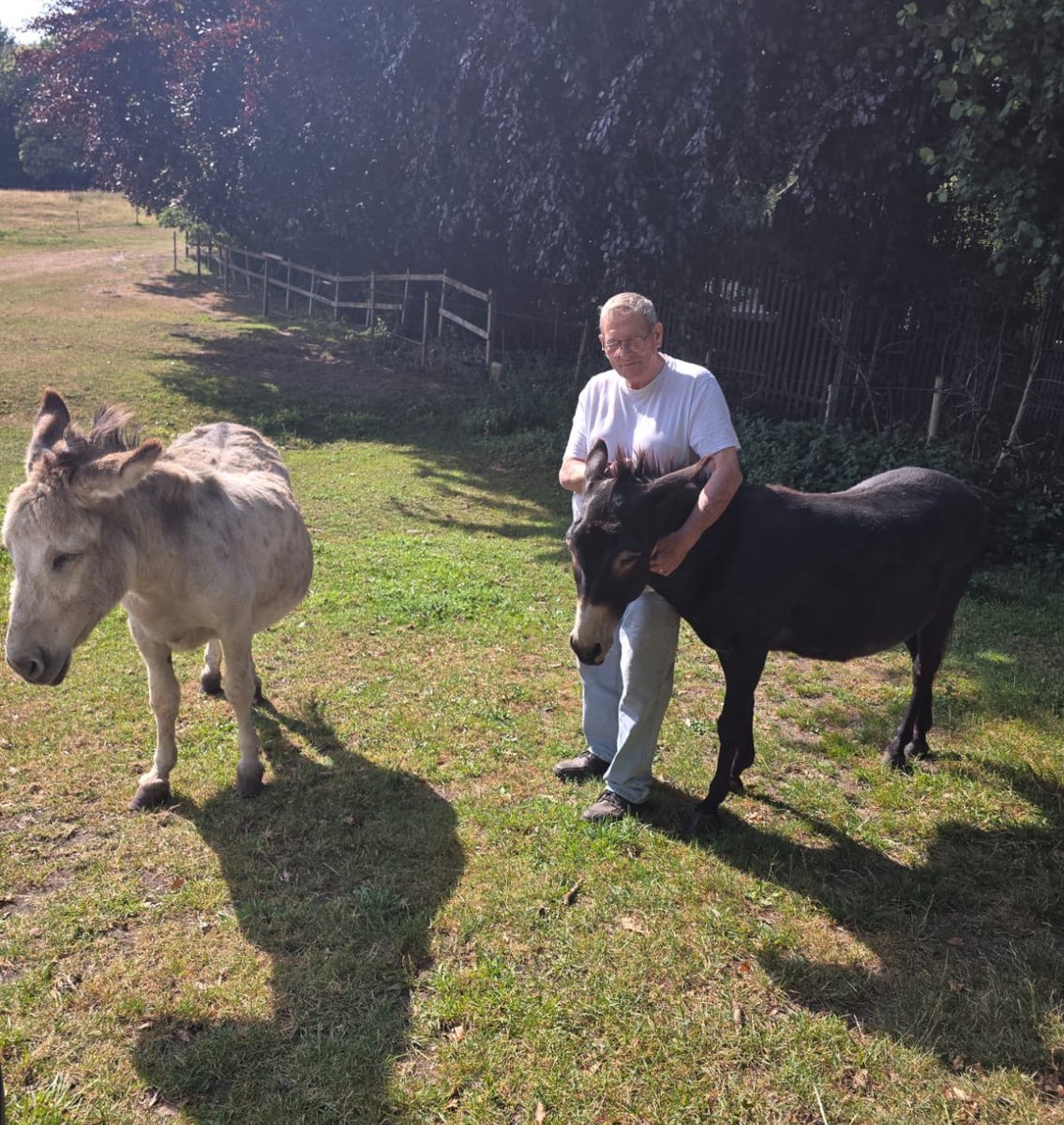 PoppyNozz's tweet photo. Valentine’s Day has arrived late for Old Catton legend ‘Gary the Donkey’ who after loosing his life long friend Norman is finally set to get a new lady mate. 
Read all about it at @UEA_journalism 

#ueajournalism #norwich #uea #donkey #ValentinesDay2026 #LoveIsInTheAir https://t.co/pMumcLJTwj