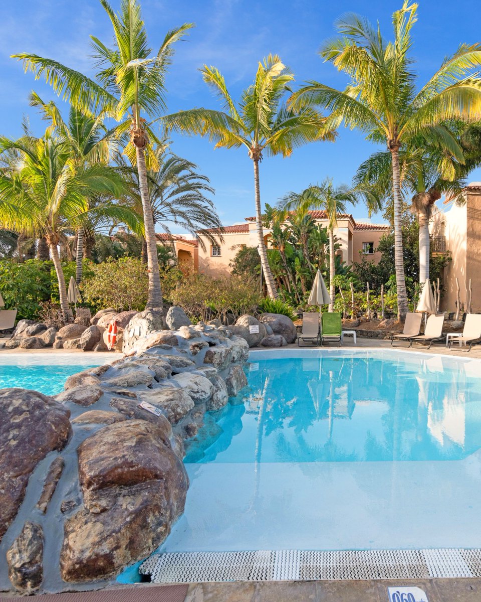 Palm_Oasis's tweet photo. 23°C en febrero.
Piscina climatizada y cielo completamente azul ☀️🌴
Así se vive el invierno en Maspalomas.
#grancanaria #maspalomas https://t.co/YmcB85Mtu0