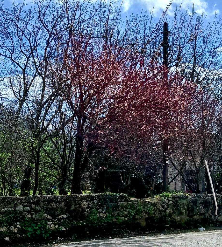 19 febbraio ore 11.00: azz. 📷 scarsa