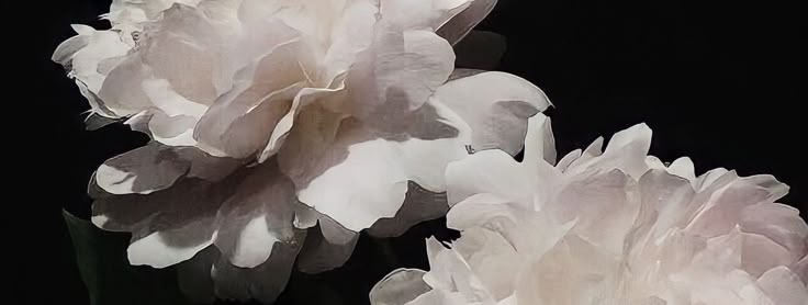 .🎧⋆ 𝙅𝙞𝙧𝙤 tweet media