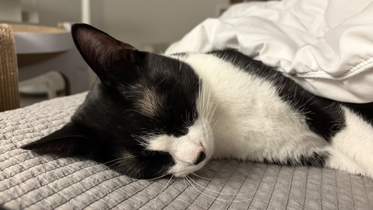 봉구네 김밥이 tweet media