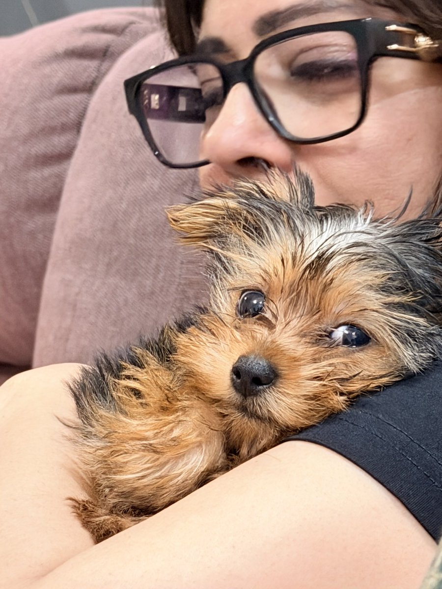 Priya Kumar tweet media