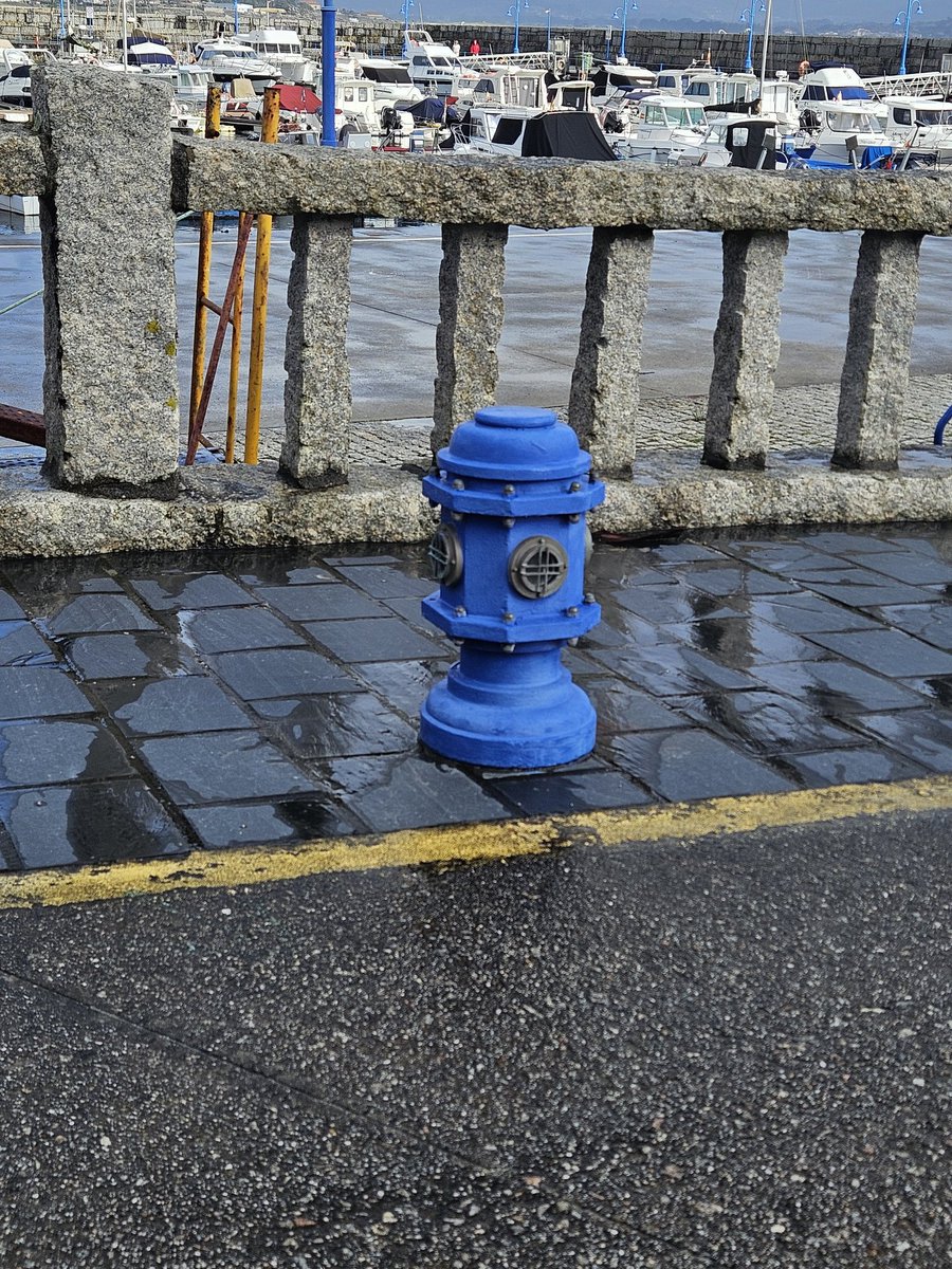 Jeff Rhino Bannister tweet media