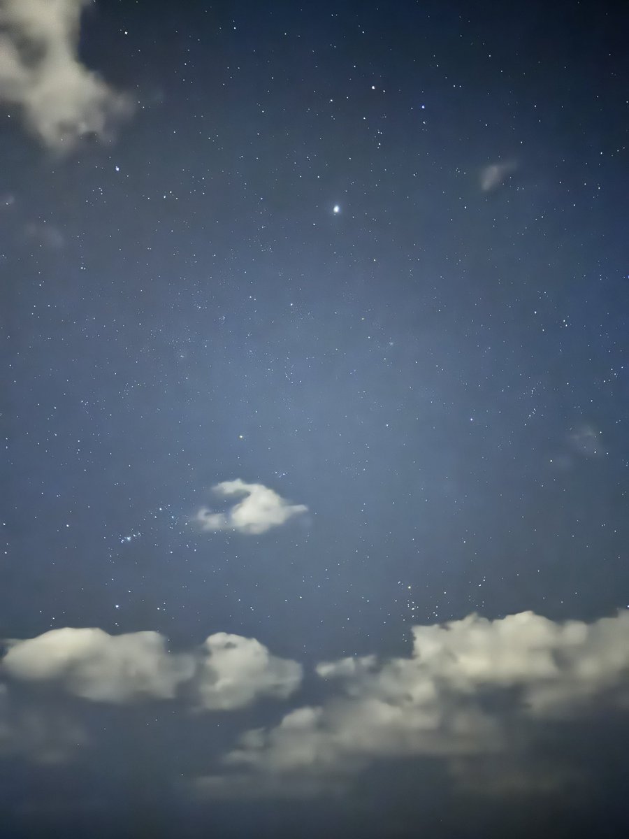 うさぱん🐰🥞 tweet media