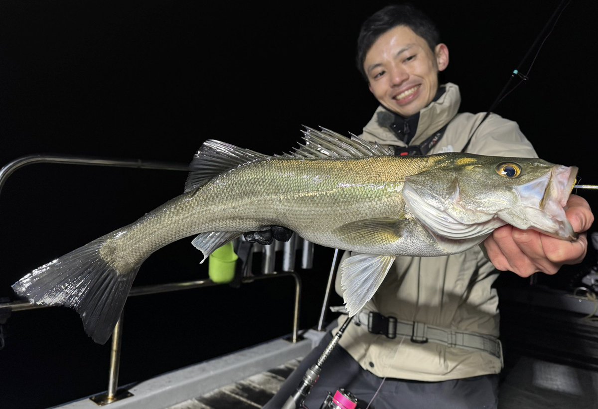 NORTHERN LIGHTS (@northern_528) / Posts / X