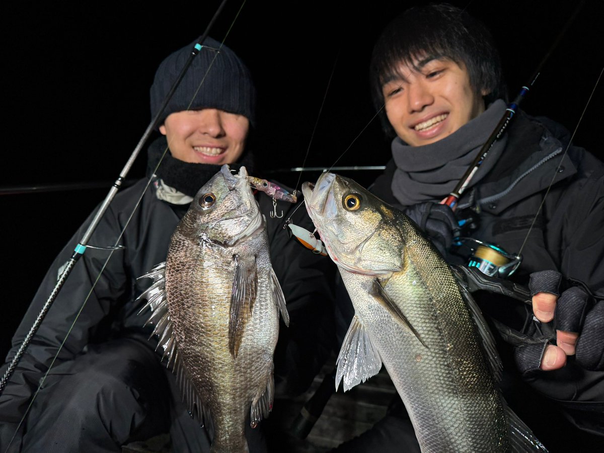 NORTHERN LIGHTS (@northern_528) / Posts / X