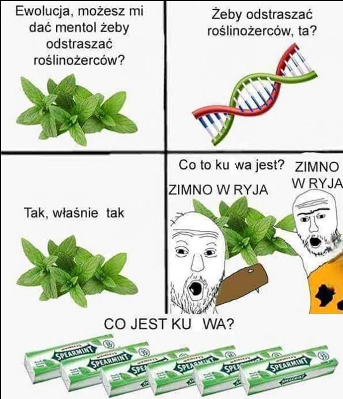gównoposting tweet media