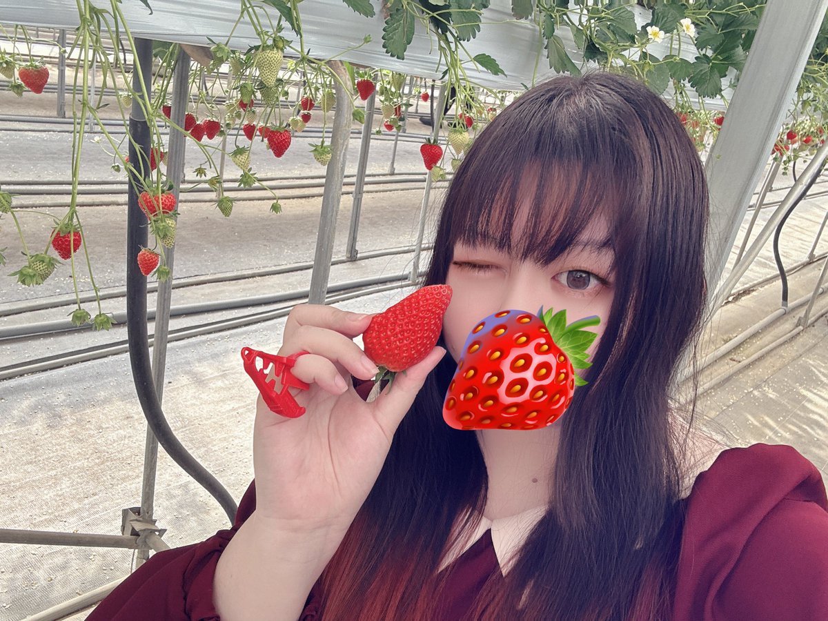 柘榴るり🥀🦇 tweet media