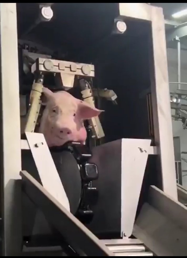 KGeN | Ⓜ️Ⓜ️T tweet media