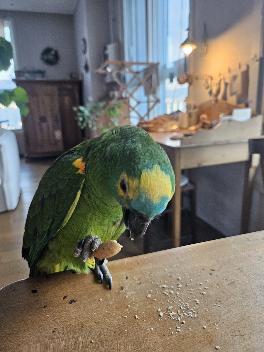 translatingTXT's tweet image. [260219] weverse dm 🧸💬

🧸 toto!!!!