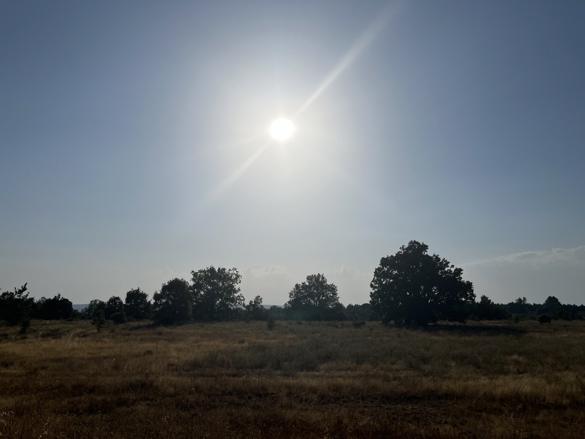 Bij Leon op 14 augustus, nog een uur voor de totaliteit