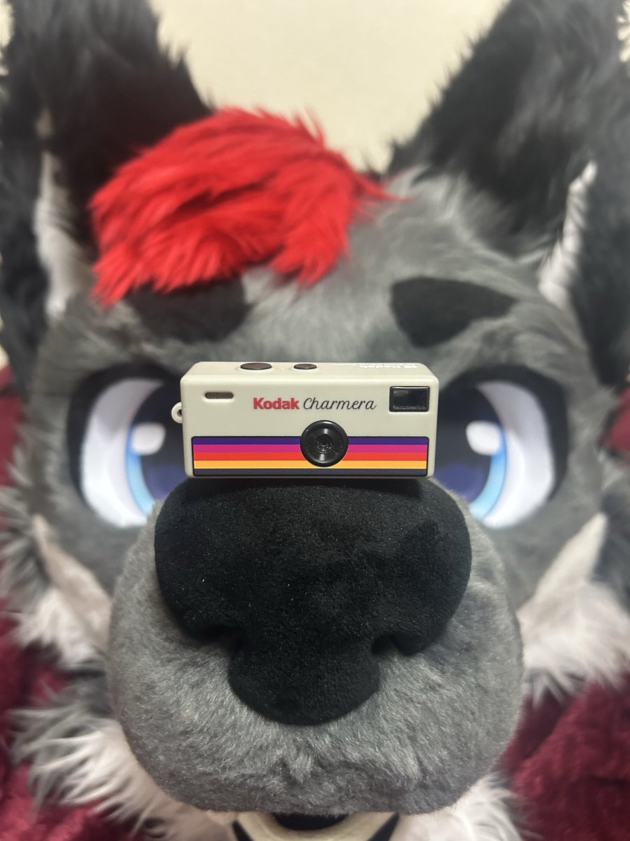 Theboi, ザ・ボーイ 🔜not sure yet tweet media