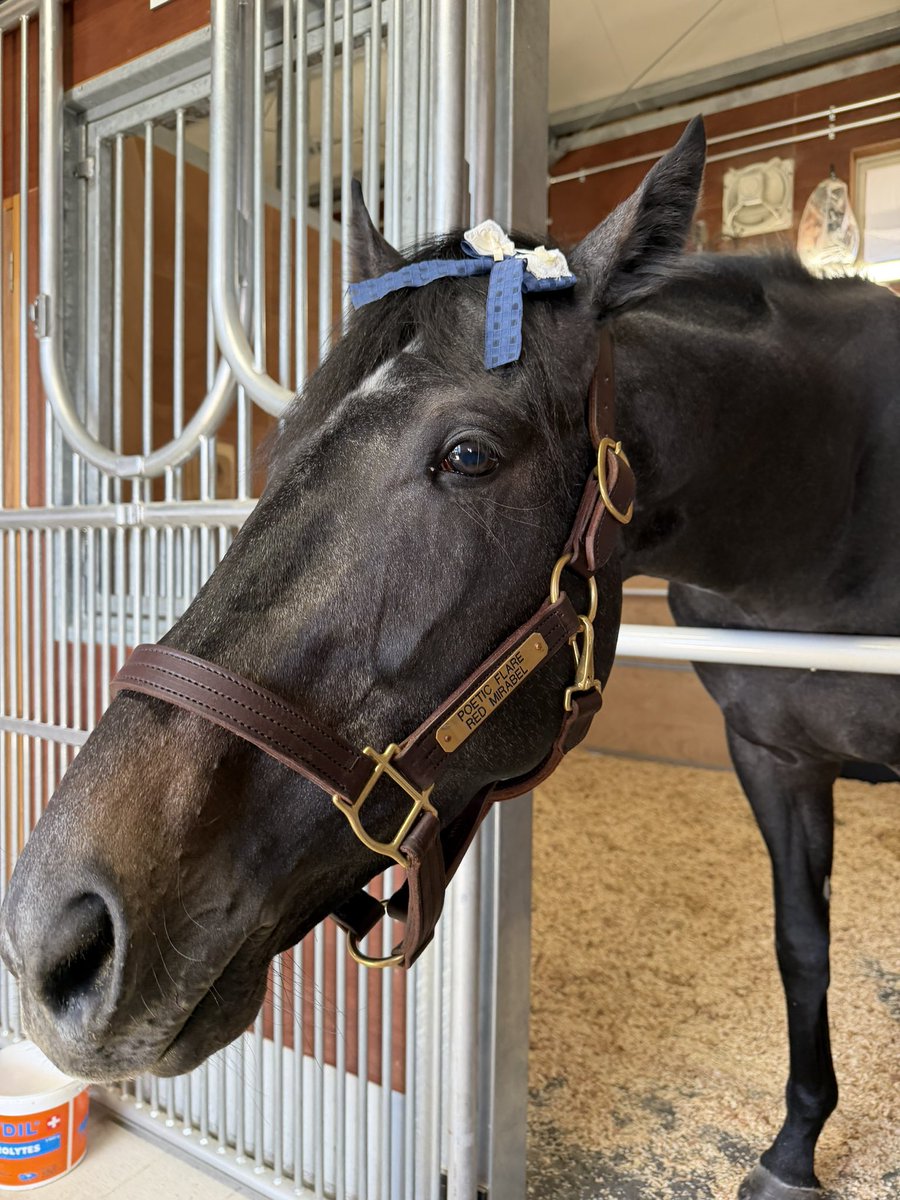 三浦 凪沙 tweet media