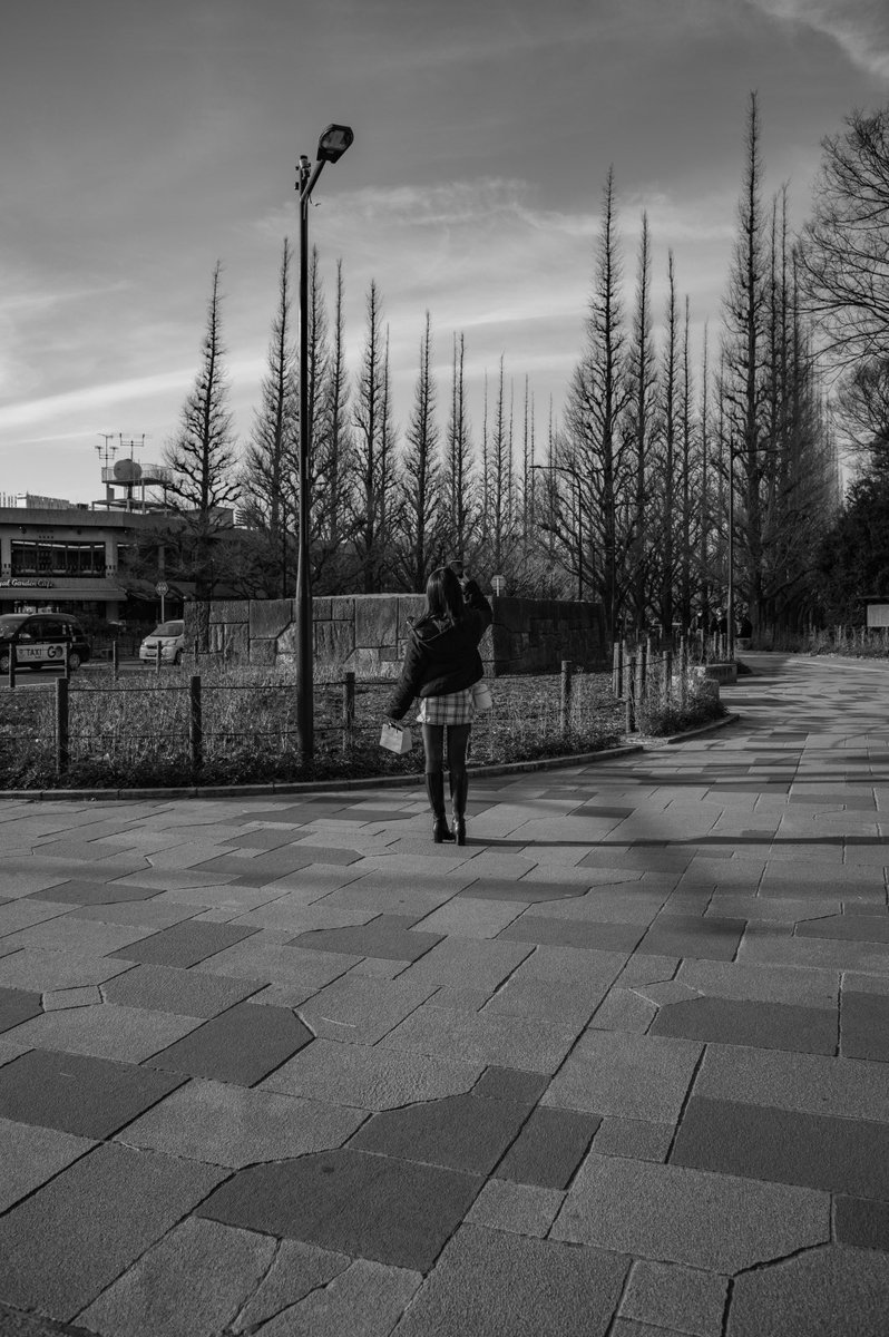 北青山 Ginkgo tree lined streets in winter #streetphotography