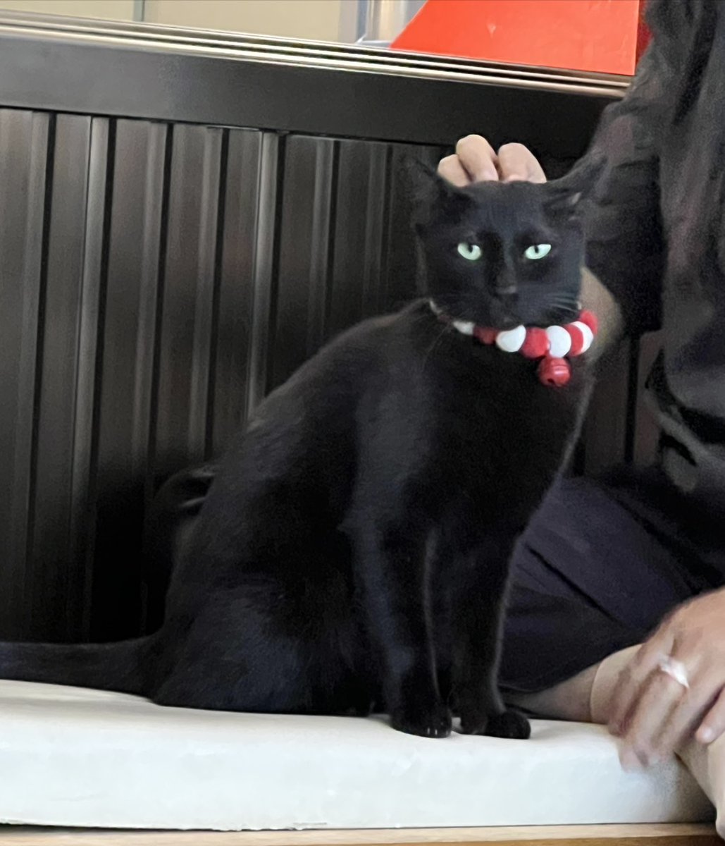 CatsterClub's tweet image. 🏡 หาบ้านให้น้องแมว 🏡 (ฝากประกาศ)
น้องหลงมาที่ทำงานเค้าค่ะ ตอนนี้เราและเพื่อนๆที่ทำงานช่วยกันดูน้องอยู่ค่ะ แต่ที่ทำงานมีแมวเจ้าถิ่นค่อนข้างจะดุ แล้วก็บางคนก็ไม่ได้ชอบแมวค่ะ เลยอยากหาบ้านดีๆให้น้องค่ะ
พิกัด : อบจ.นครปฐมค่ะ
น้องอายุประมาณ 1 ขวบ เพศหญิงค่ะ
เบอร์ติดต่อ : 085-4285665