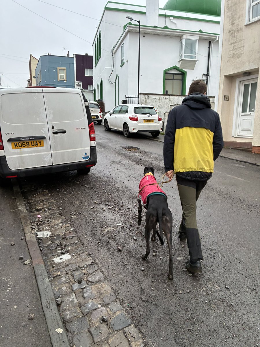 Thea Rickard tweet media