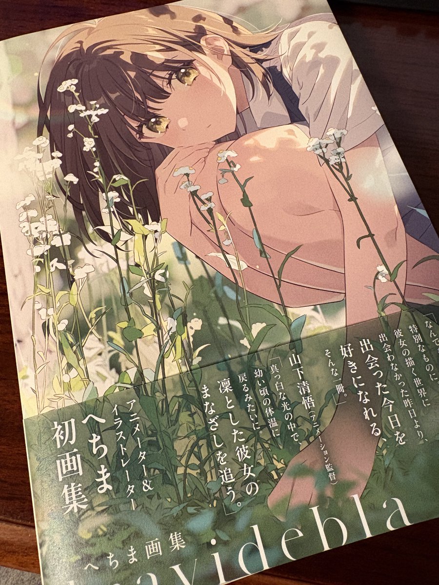 へちまさんのtravidebla（サイン本！）もお迎え！ 本当に素敵な画集