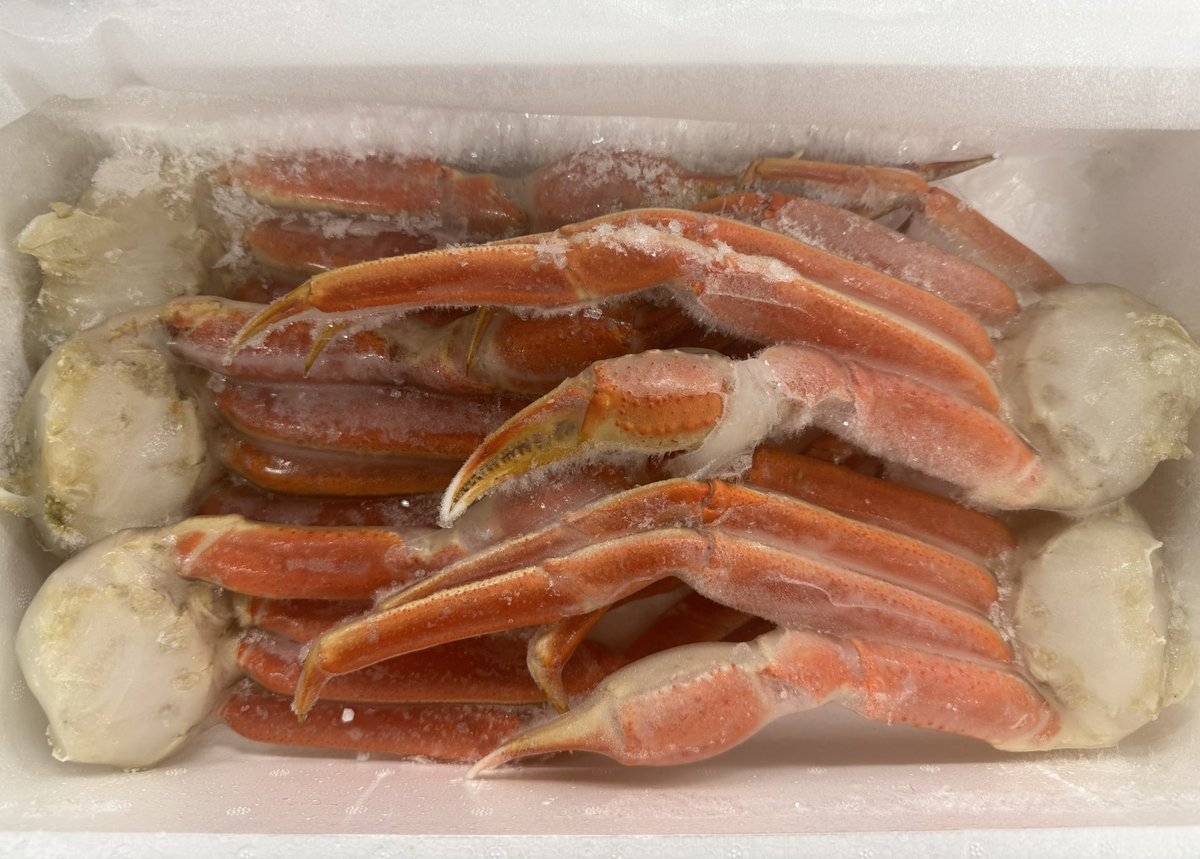 カポ峯 tweet media