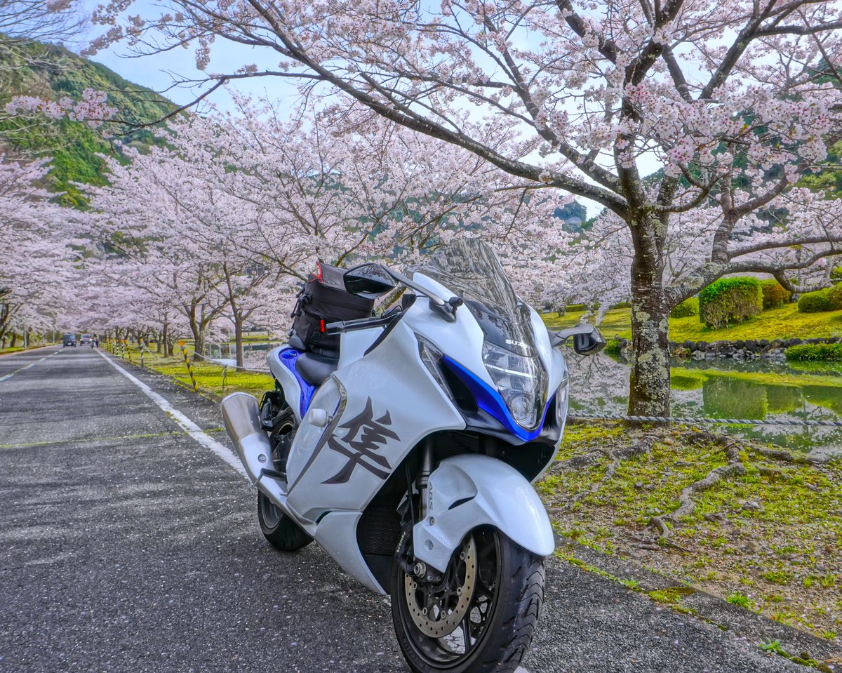 とらちゃん (@torachan675r1) / Posts / X