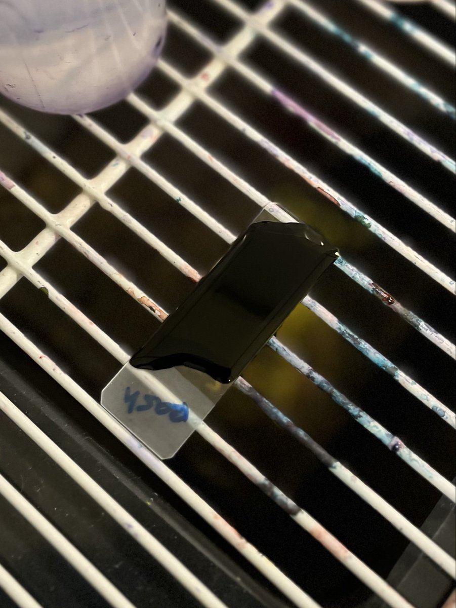 بـشائر 🇸🇦 tweet media