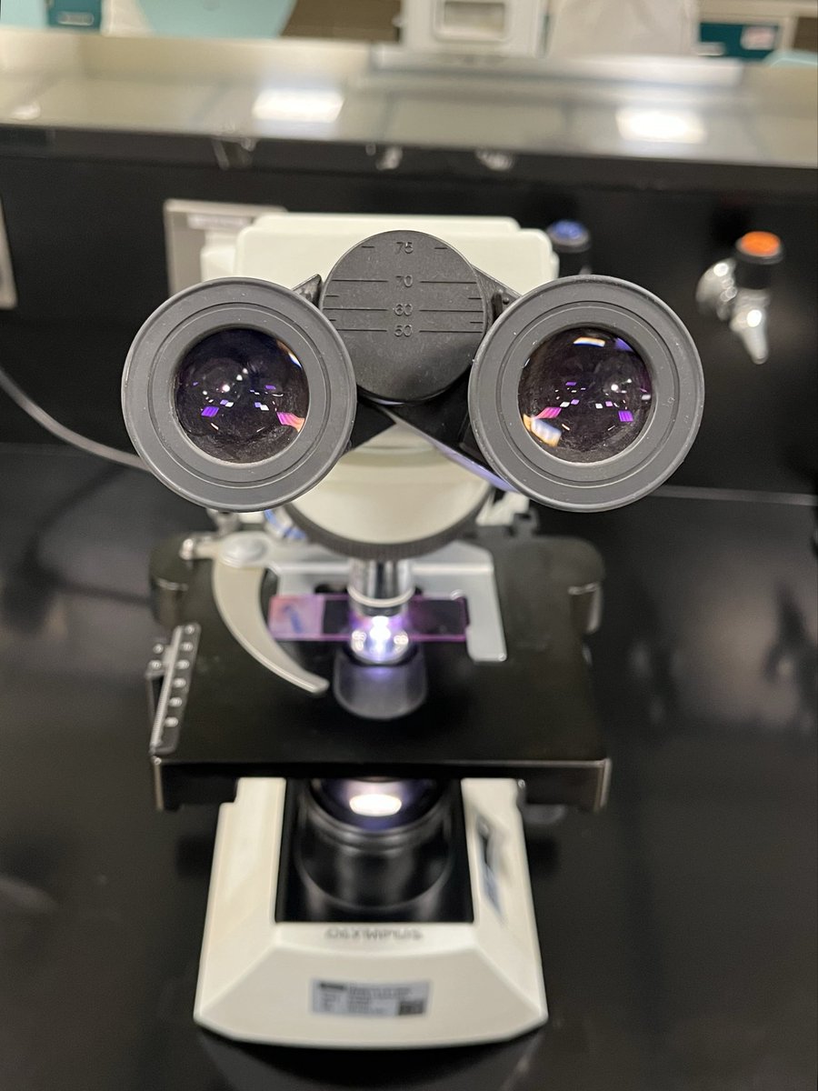بـشائر 🇸🇦 tweet media
