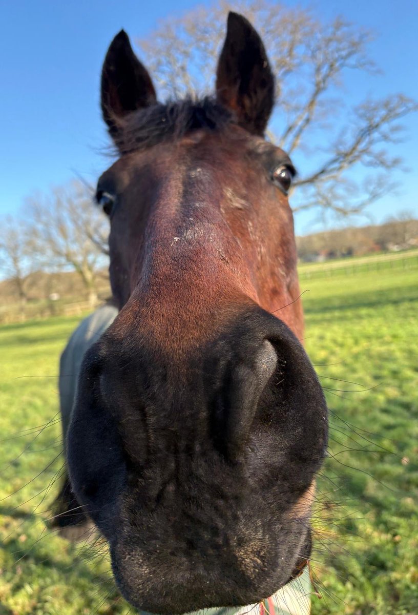 Heart of the South Racing tweet media