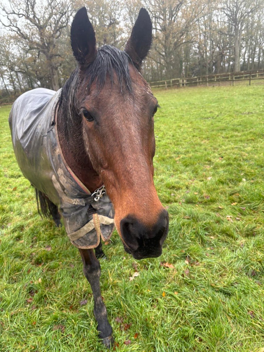 Heart of the South Racing tweet media