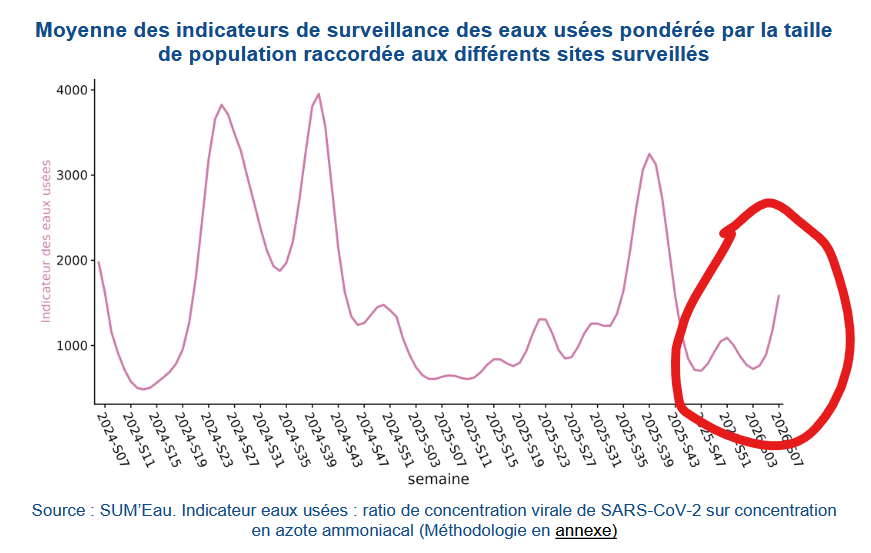 Nicolas Berrod tweet media