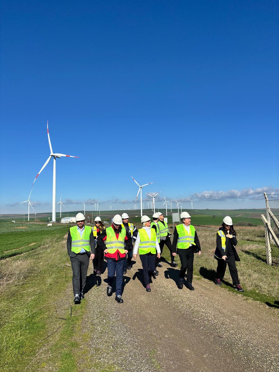 Sibylle Katharina Sorg tweet media