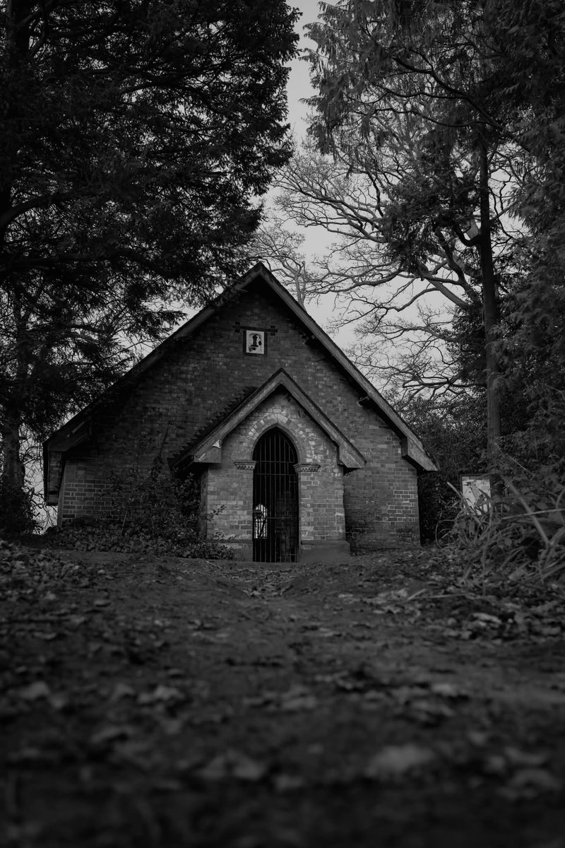 rcn_photography tweet media